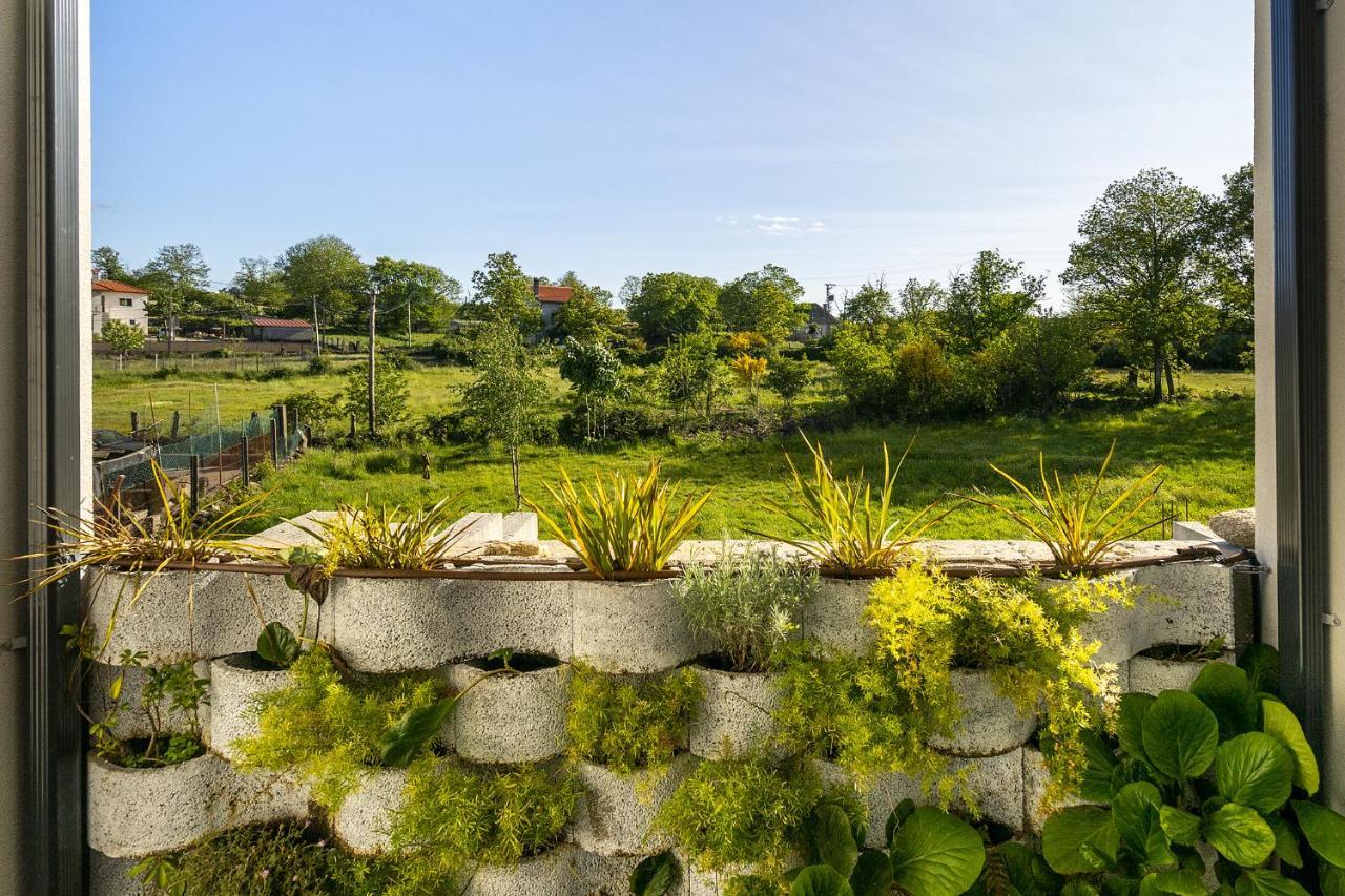 Isatour -Natural Park House Vouzela Exterior foto